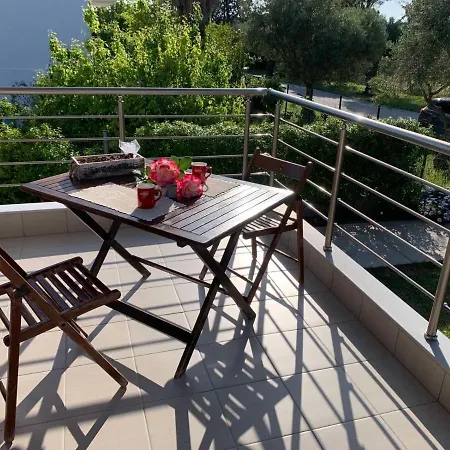 In Nea Kallikratia Nea Kallikrateia